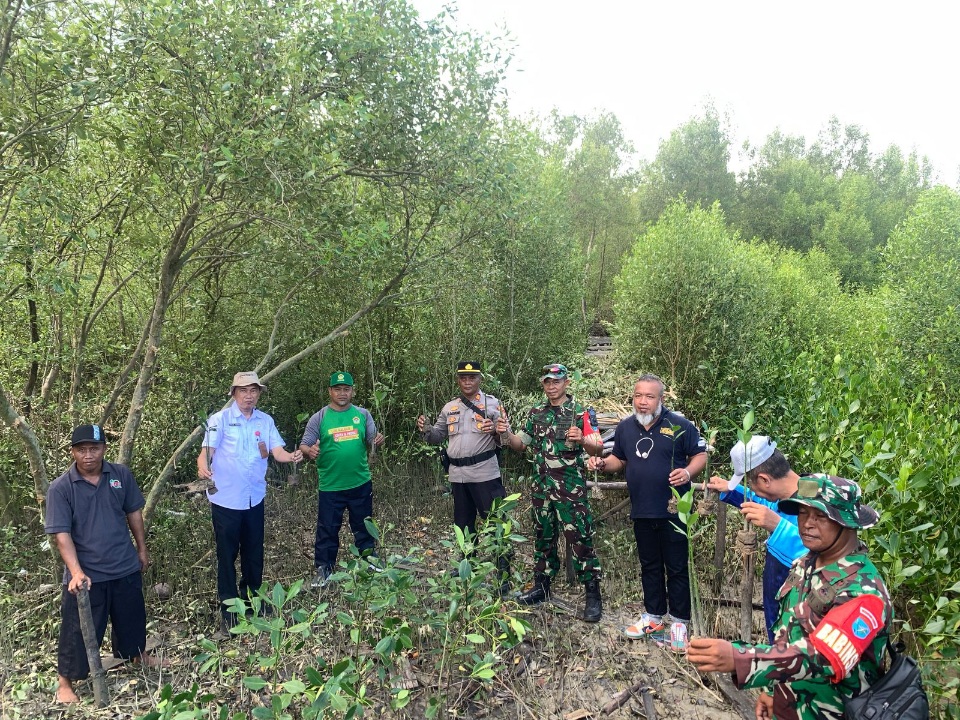 SMSI Kalbar Galang Aksi Hijau Lewat Workshop dan Penanaman Mangrove di Mempawah
