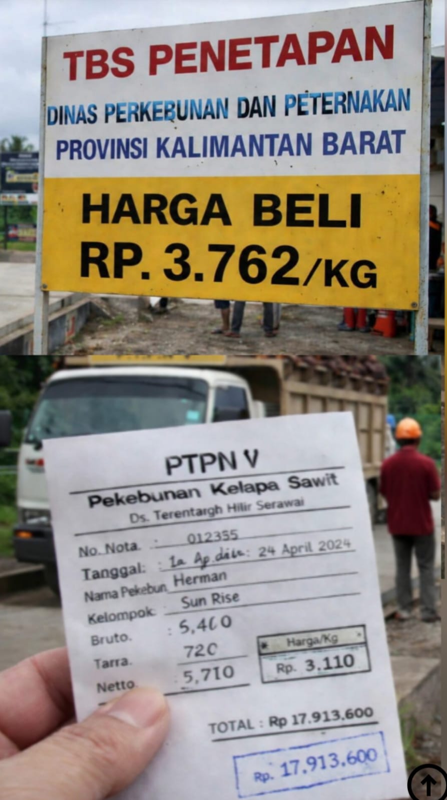 Terkait Tata Niaga TBS, PKS Rimba Belian Disorot LSM Citra Hanura